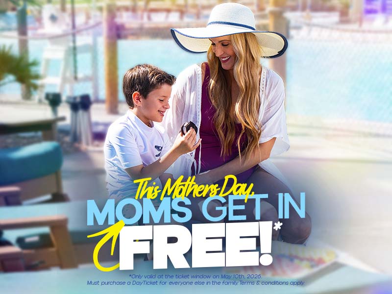 This Mother's Day, Moms get in Free!