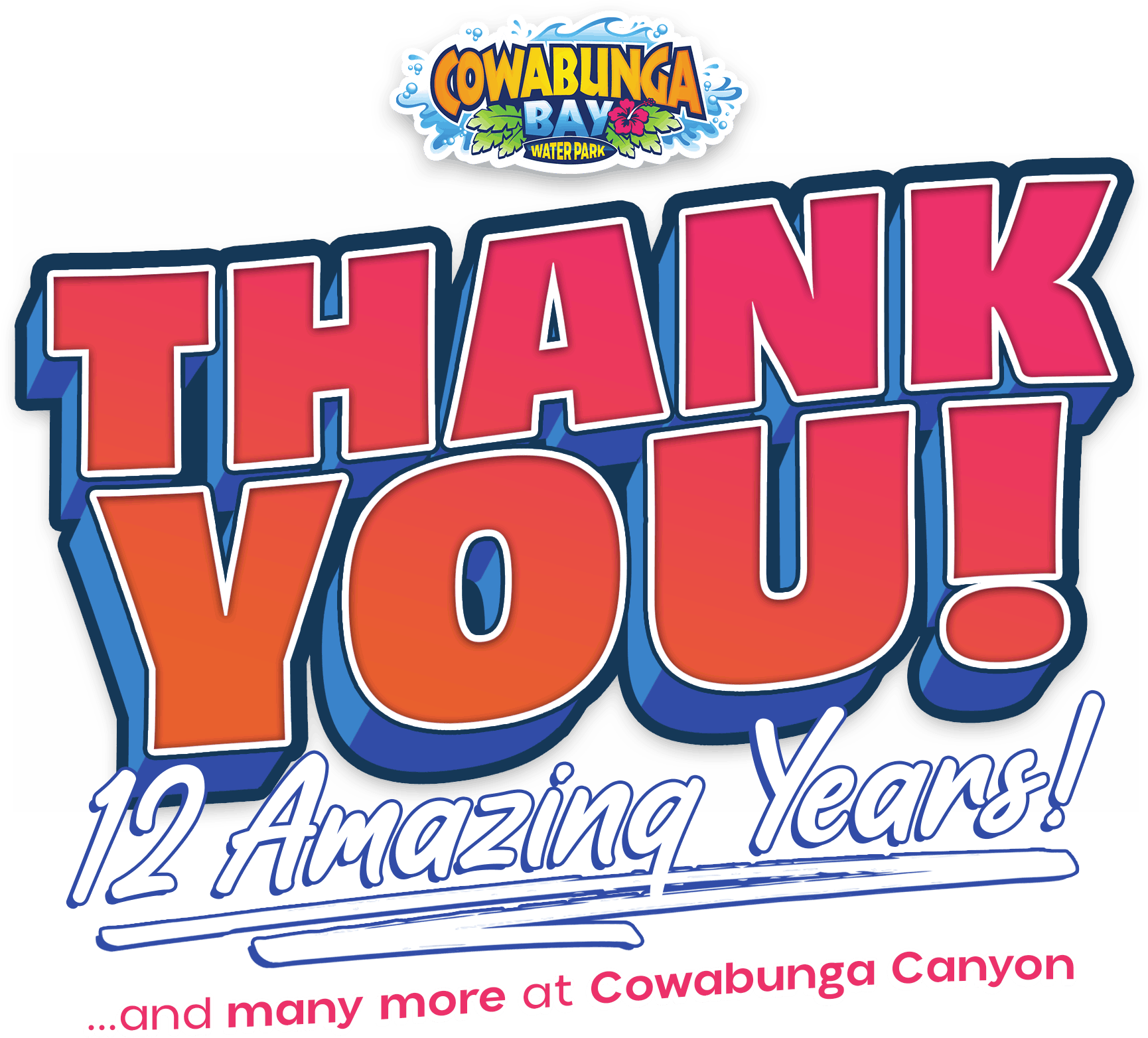 Thank you for 12 Amazing Years!
